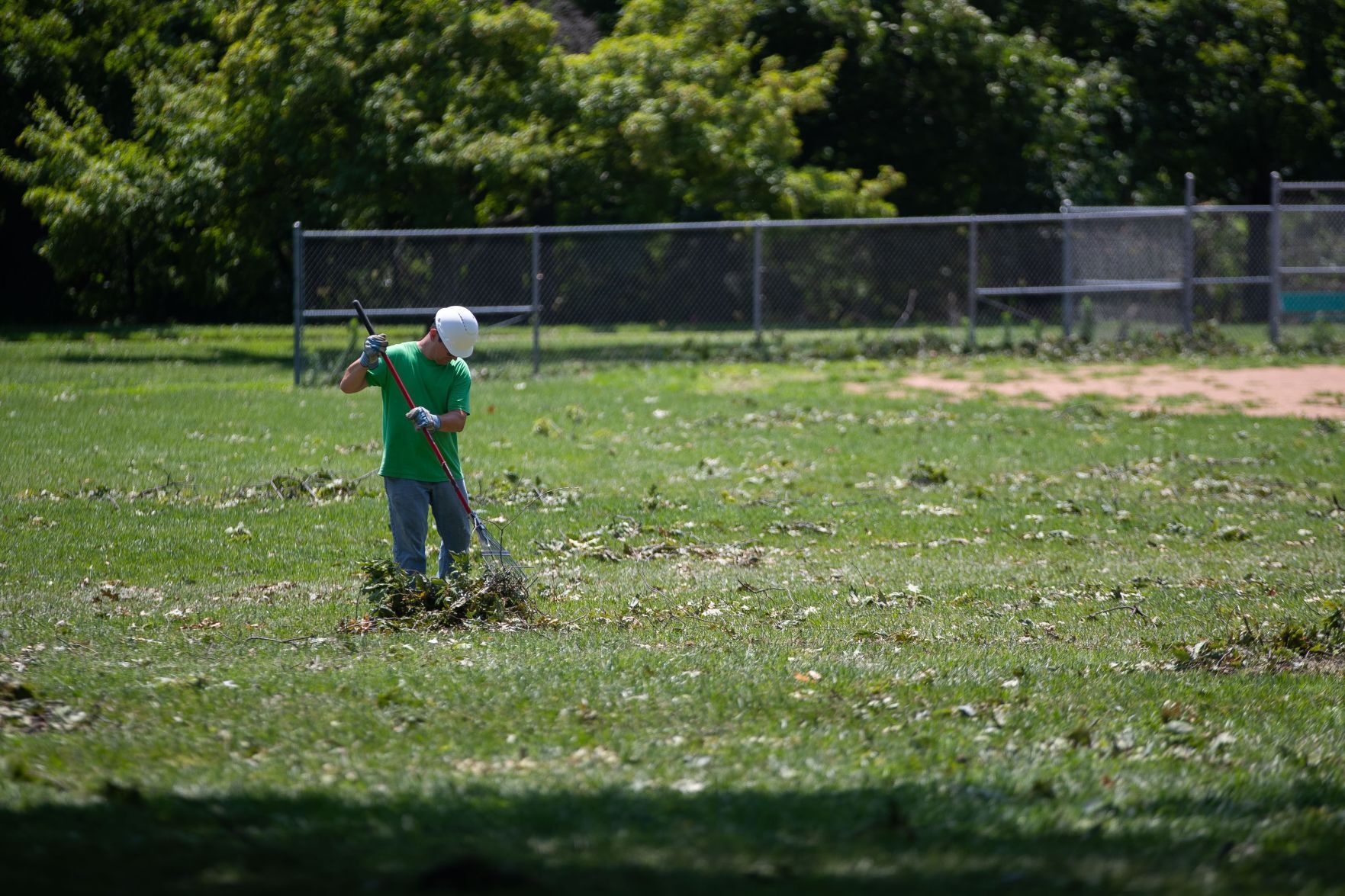 071321-owh-new-trees-LS09.JPG
